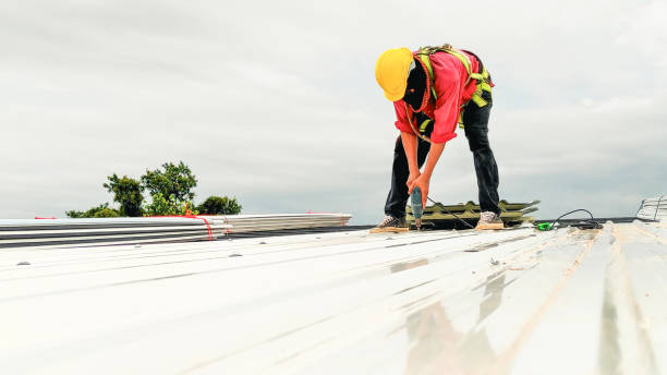 Best Rubber Roofing (EPDM, TPO)  in West Burlington, IA